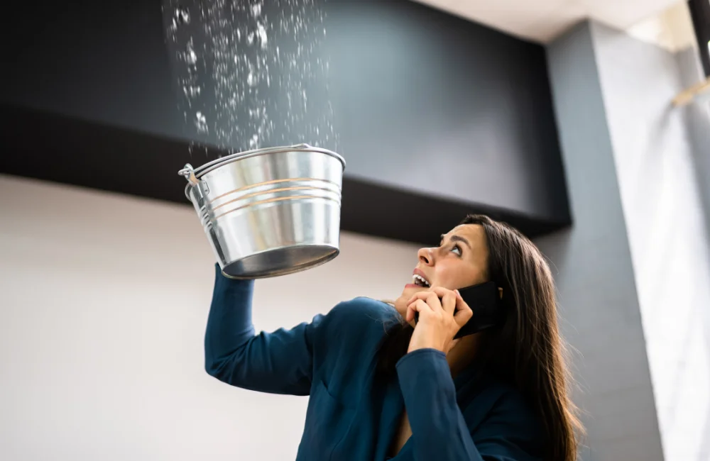 สภาพฝ้าเพดาน